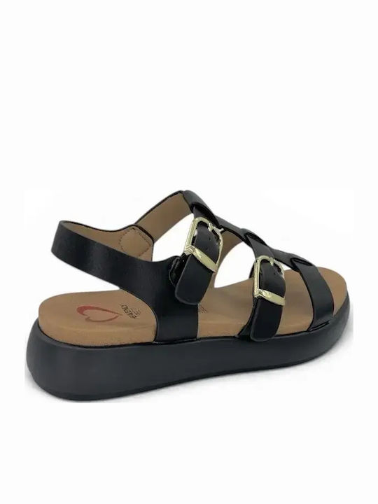 Platforme Dama Negre