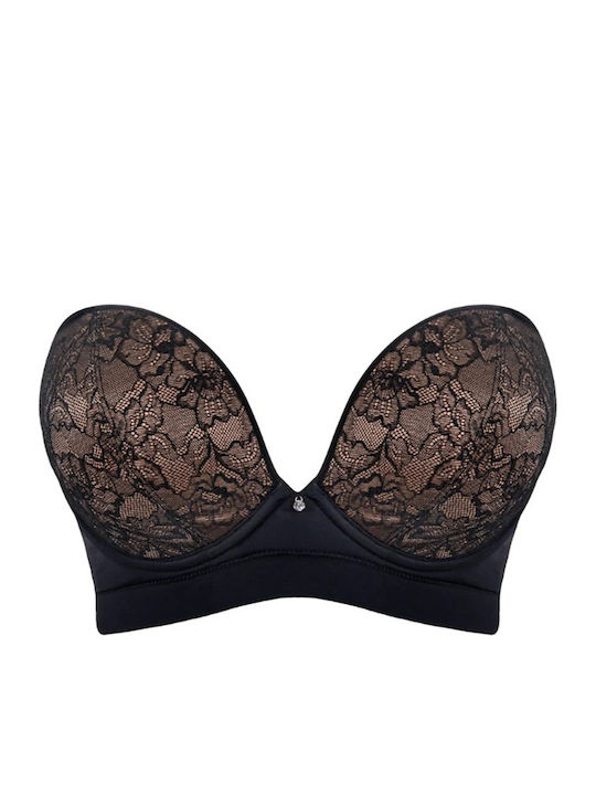 Curvy Kate Curvy Kate