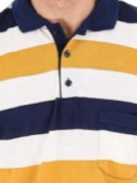 Color Colucci