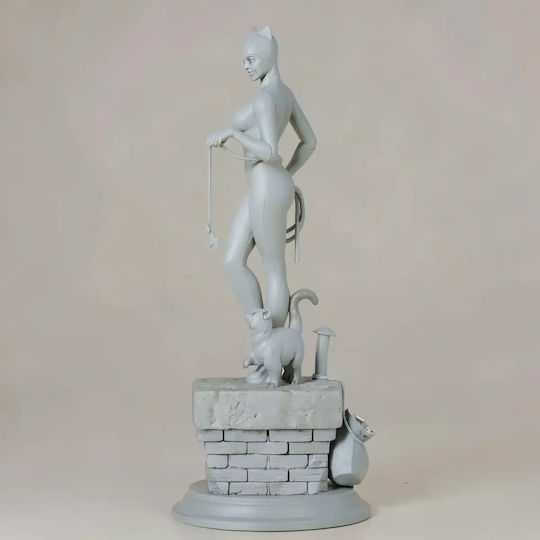 Unbemalte 3d Figur Catwoman V4 Aus DC Bemalbar Diy Geschenk Farben 20 Cm 1:8