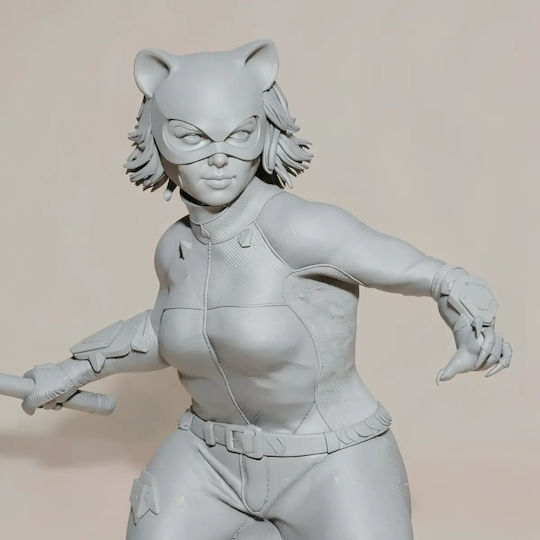 Unbemalte 3d Figur Catwoman V8 Aus Dc Bemalbar Diy Geschenk Farben 30 Cm 1:6