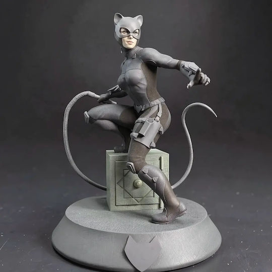 Unbemalte 3d Figur Catwoman V8 Aus Dc Bemalbar Diy Geschenk Farben 30 Cm 1:6