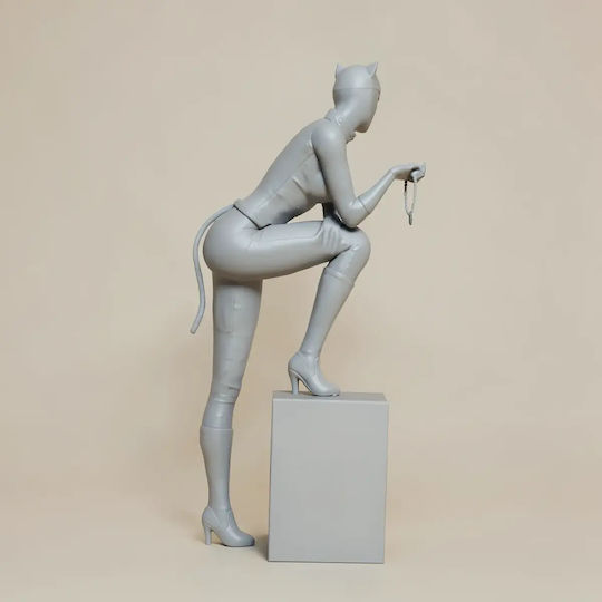 Unpainted 3d Figur Catwoman V3 Aus Dc Bemalbar Diy Geschenk Farben 30 Cm 1:6