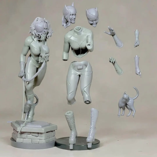 Unbemalte 3d Figur Catwoman V9 Aus Dc Bemalbar Diy Geschenk Farben 15,2 Cm 1:12