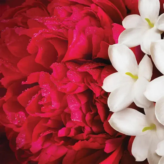 Escada Yum Me! Blossom Спрей за тяло и коса 100ml