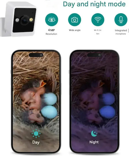 Smart Vogelhaus Kamera Regenbean Blau