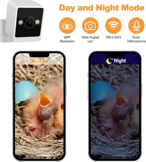 Smart Vogelhaus Kamera Regenbean Holz