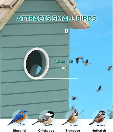 Smart Vogelhaus Kamera Regenbean Blau
