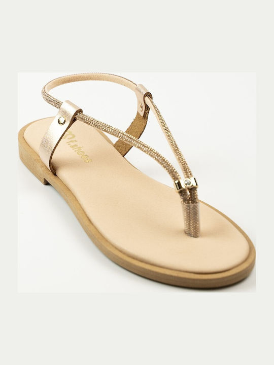 Fshoes