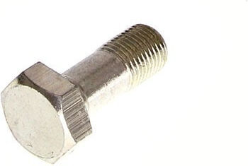Triscan Screw With Length 10mm