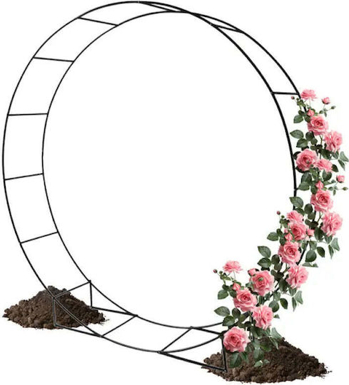 Garden Star Decorațiune pentru Grădină