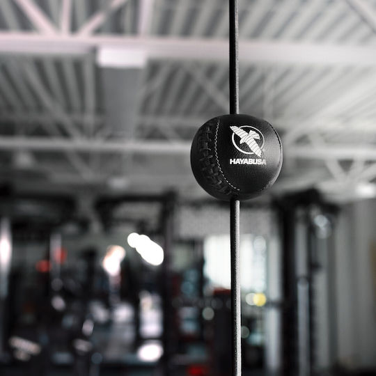 Hayabusa Kesnup Reflex-Ball Boxzubehör