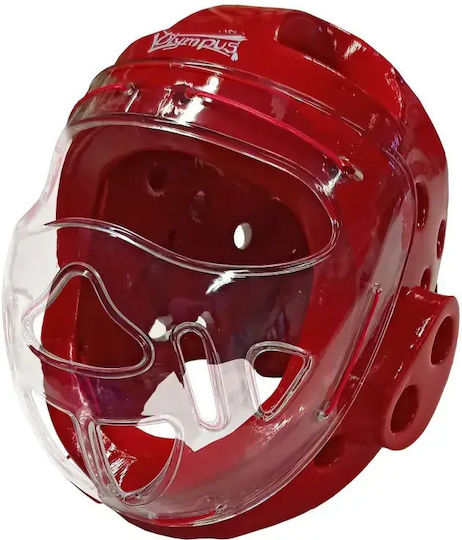 Foam Headgear Full Protection Pc Mask Blue