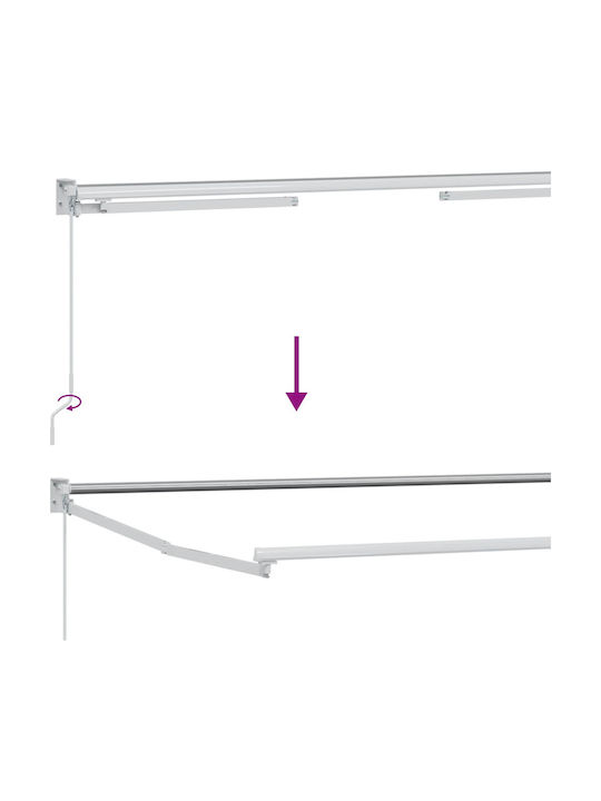 vidaXL Τέντα Βεράντας Καφέ 4x2m