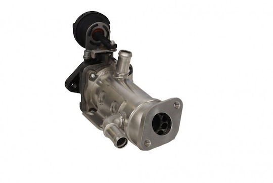 EGR Kühler Austausch Renault Trafic 01 8200953620
