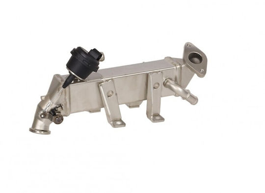 EGR Kühler Austausch Renault Master III