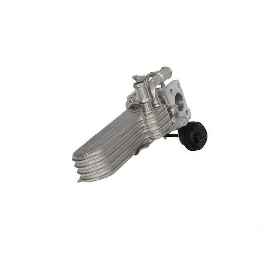 Fast Egr Motor Kühler für Volkswagen Touran I 03 038131512h