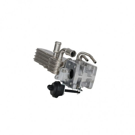 Fast Egr Motor Kühler für Volkswagen Touran I 03 038131512h