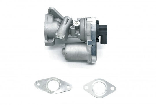 Egr-Ventil Dichtung Psa Ford Fiat 1618hq