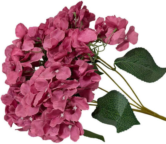 SteweHome Hortensie Set 1 Stück 5 Zweige Getrocknete Blätter Mehrfarbig Mehrfarbig