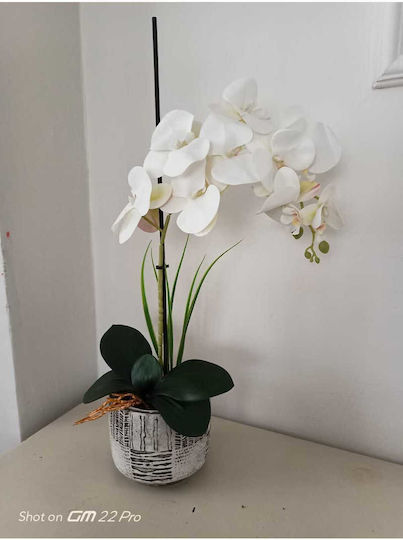 SteweHome Dekorative Künstliche Orchidee Moderne Quadratische Zementbehälter Tischgebrauch Schwarz