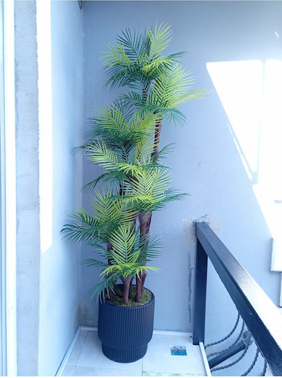 Stewehome Copac Artificial Palmier Areca 7 Trunchiuri 63 Frunze Antracit Ghiveci Decorare Living Gri