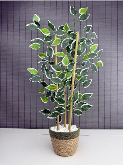 Stewehome Decorative Benjamin Tree Woven Straw Pot Cotton Fabric 3 Trunks Green 16x12x8 Cm