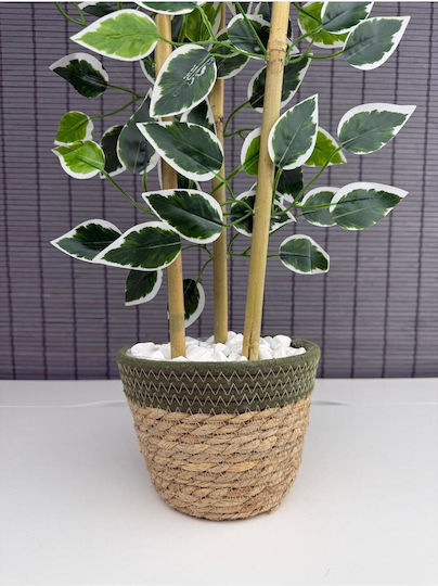 Stewehome Decorative Benjamin Tree Woven Straw Pot Cotton Fabric 3 Trunks Green 16x12x8 Cm