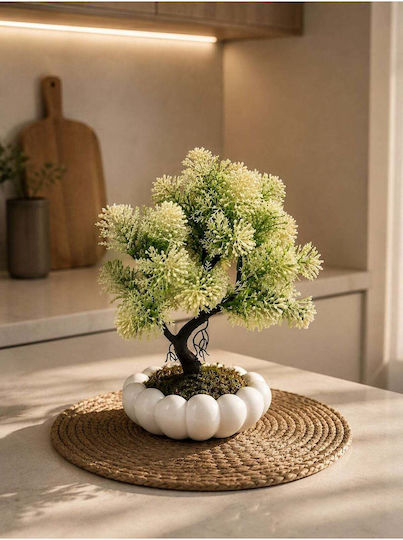 Stewehome Decorative Artificial Bonsai Kasbati White Pot White
