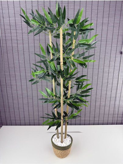 SteweHome Dekoratives Bambusbaum Korb aus Seegras Baumwollkorb 3 Stämme Grüne 16x12x81 cm
