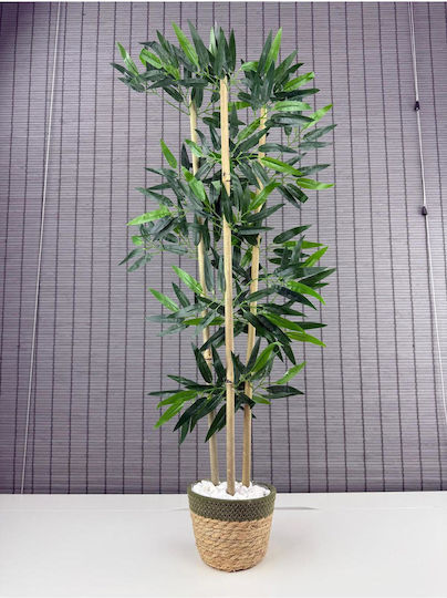 SteweHome Dekoratives Bambusbaum Korb aus Seegras Baumwollkorb 3 Stämme Grüne 16x12x81 cm