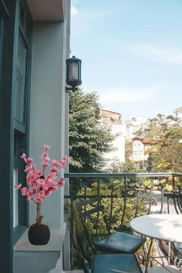 Stewehome Small Balcony Tree Pink Leaves Pink