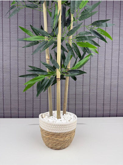 Stewehome Dekoratives Bambusbaum Geflochtene Korb Pflanzgefäß Weiß Baumwolle 3 Stämme Weiß 16x12x81 cm