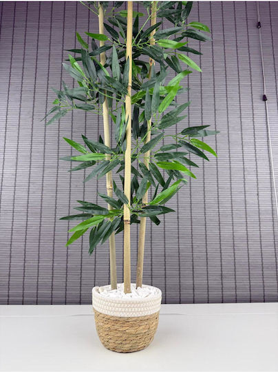 Stewehome Dekoratives Bambusbaum Geflochtene Korb Pflanzgefäß Weiß Baumwolle 3 Stämme Weiß 16x12x81 cm