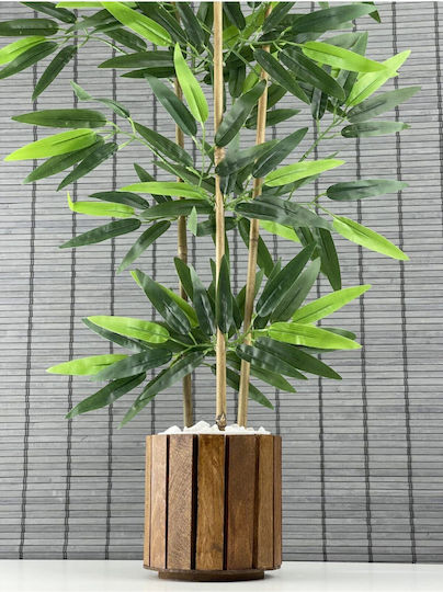 SteweHome Dekoratives Bambusbaum in Holztopf mit Drei Stämmen Beiges 12x13x8 cm