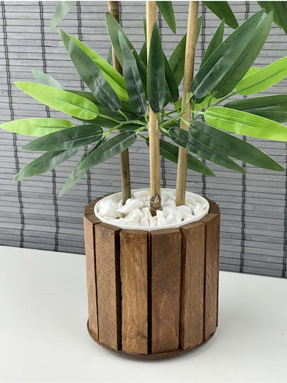 Stewehome Dekoratives Bambus Topfpflanze Mit Dichten Blättern Holztopf Beige 12x13 Cm
