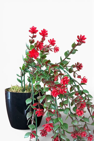 Stewehome Artificial Ivy Dense Leaves Black Pot Multicolour