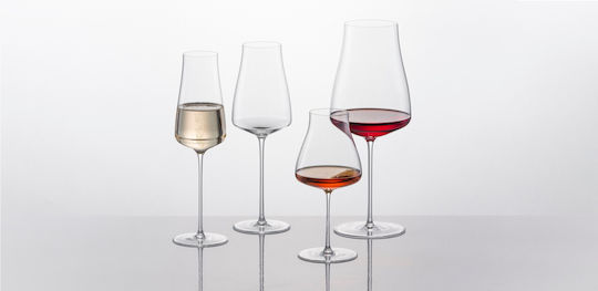 Schott Zwiesel Set Pahare De Sampanie Cu Picior Din Cristal Gri 312ml 6 Bucăți