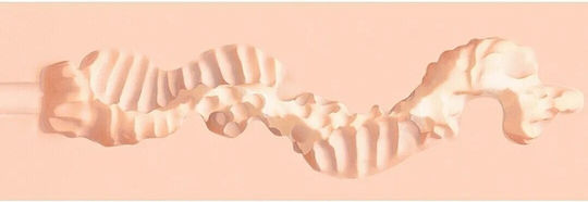 Pure Realistische Puppe Vagina