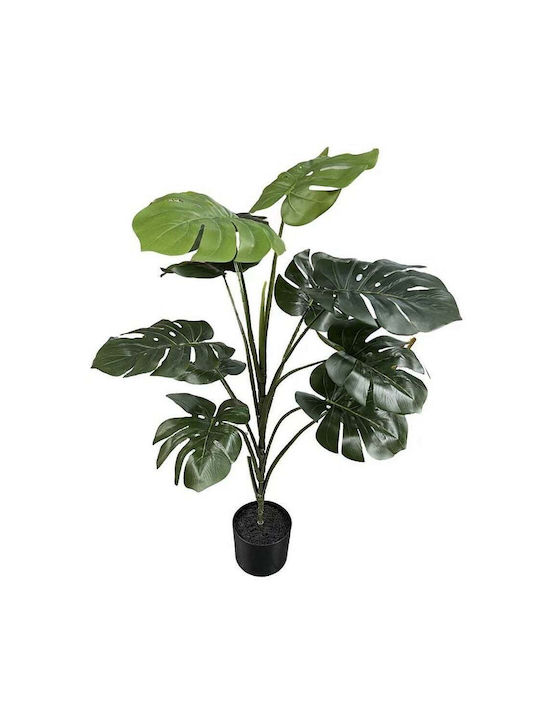 Μονστέρα σε Γλάστρα 85cm