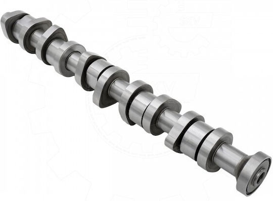 Ax Excentrici VW Transportator T5 Multivan T5 Touareg California T5 070109101q