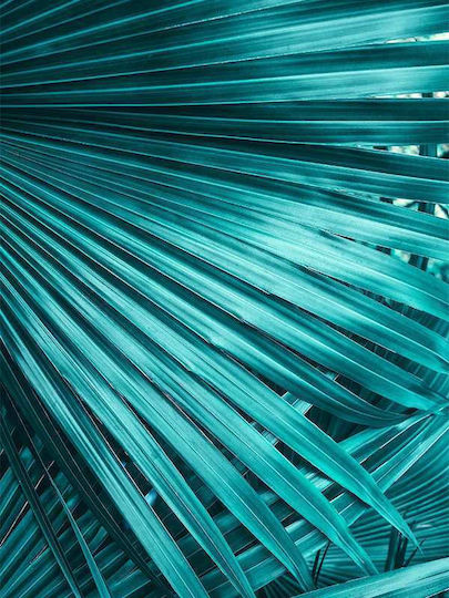Poster Tropical Green Leaves Pst25160 40cm X 50cm Λευκή Ξύλινη Κορνίζα-60688pd156420f55310