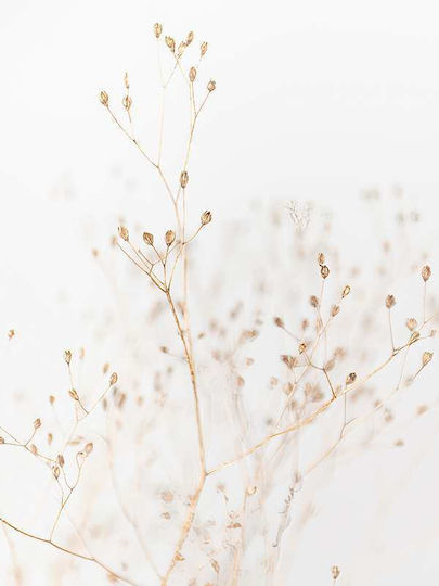 Poster Dry Flower Pst2588 40cm X 50cm Κορνίζα Φυσικό Ξύλου Μπεζ 60603pd156447f55316