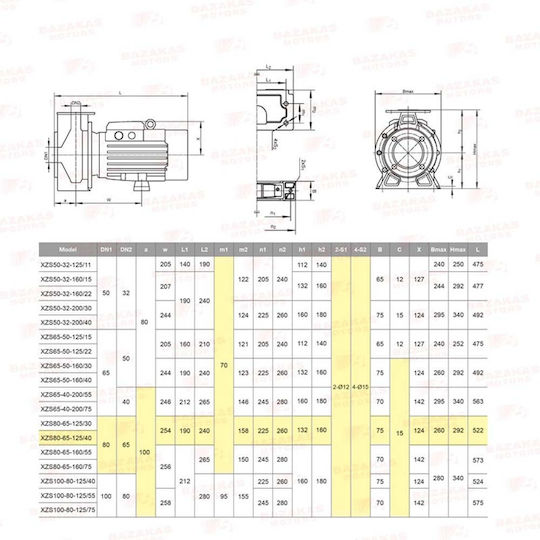 Leo Group XSZ 80-65-125/4,0 Electric Surface Water Pump Centrifugal 5.5hp Three-Phase