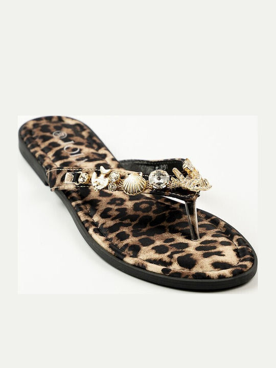Fshoes