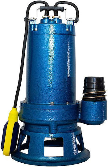 Omnigena Einphasige Pumpe Abwasser/Abwasser 750W