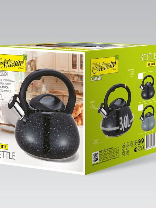 Maestro Maestro Rostfreier Stahl Teekessel Schwarz 3000ml