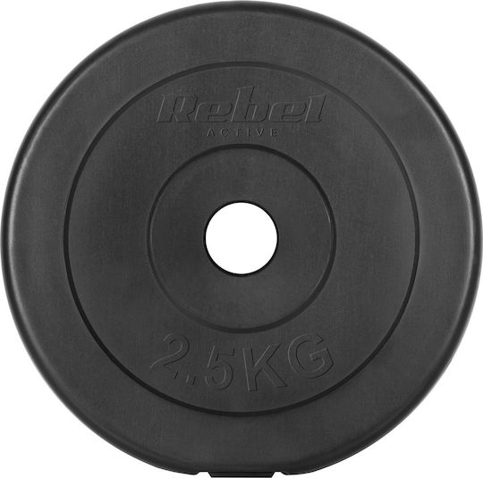Σετ Δίσκοι 4 x 2.5kg Φ31mm