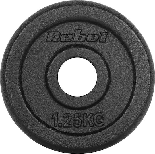 Σετ Δίσκοι Μεταλλικοί 4 x 1.25kg Φ31mm