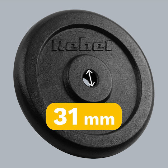 Σετ Δίσκοι Μεταλλικοί 2 x 15kg Φ31mm